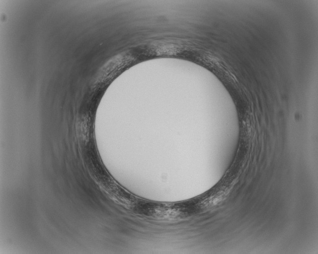 X0000060550311200511241232