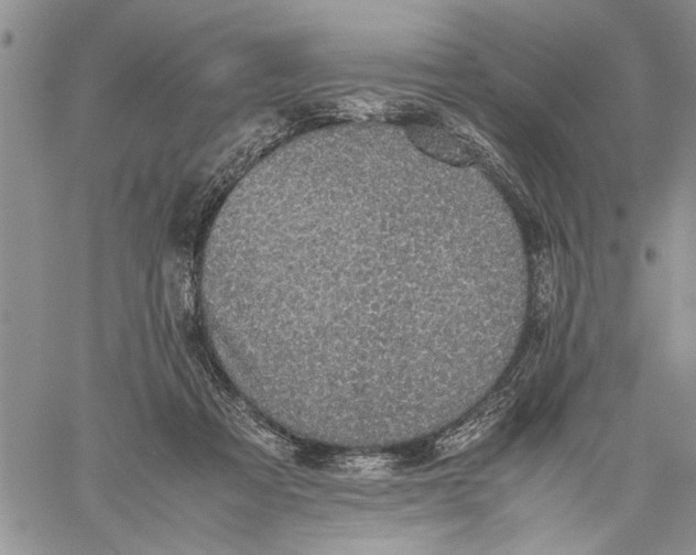 X0000060550313200511241232