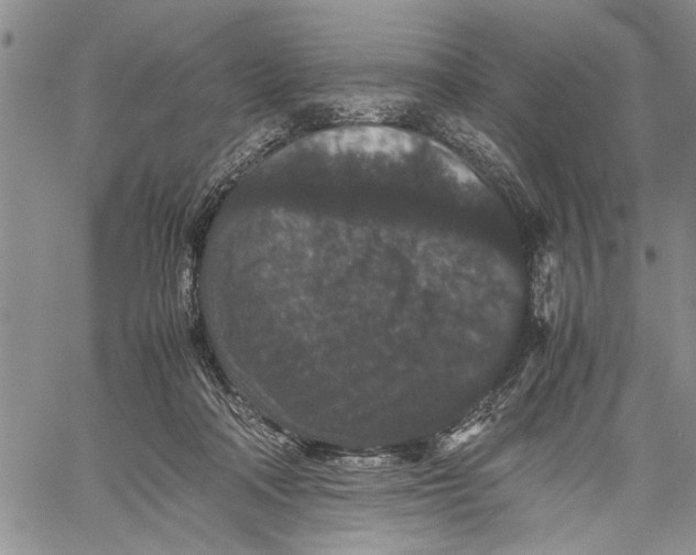 X0000060550314200511241232