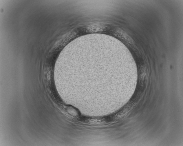 X0000060550315200511241232