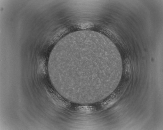 X0000060550316200511241232