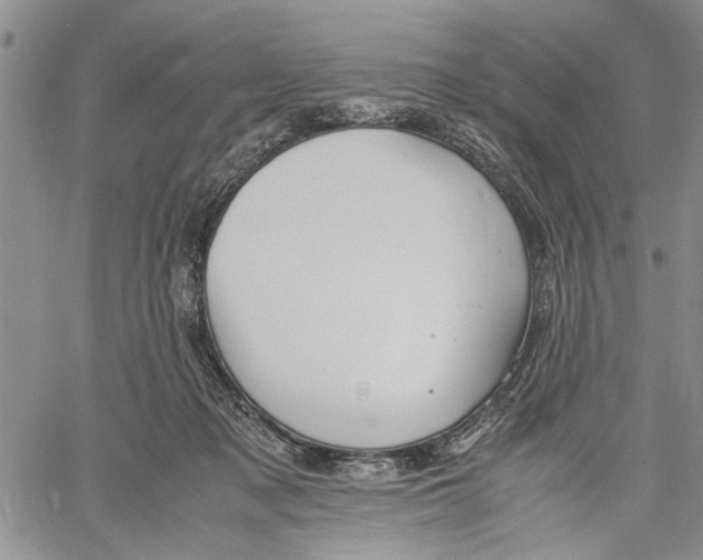 X0000060550317200511241232