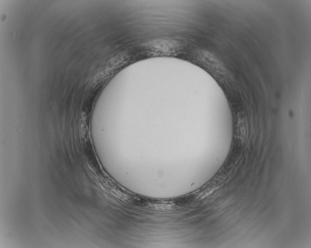 X0000060550318200511241232