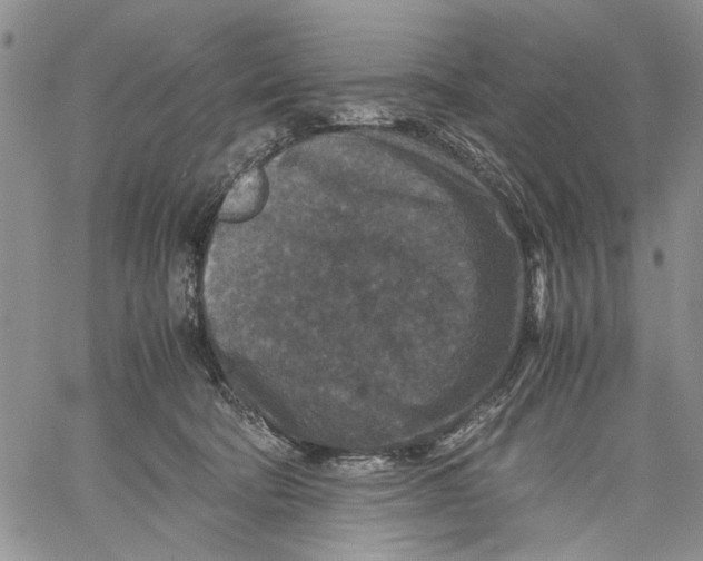 X0000060550322200511241232