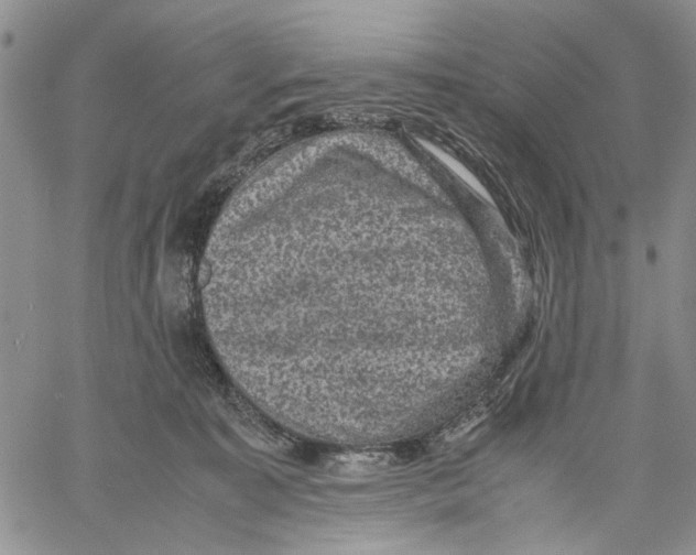 X0000060550323200511241232