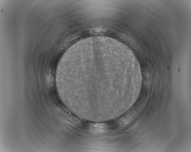 X0000060550324200511241232