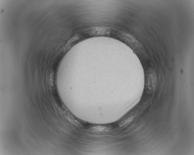 X0000060550326200511241232