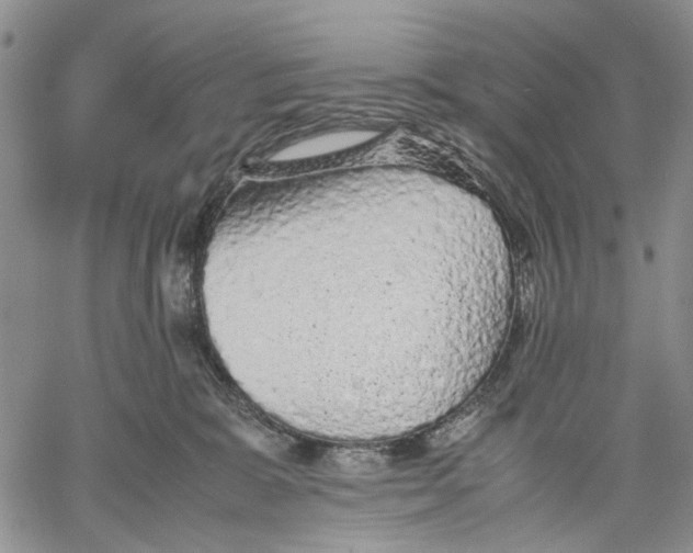 X0000060550327200511241232