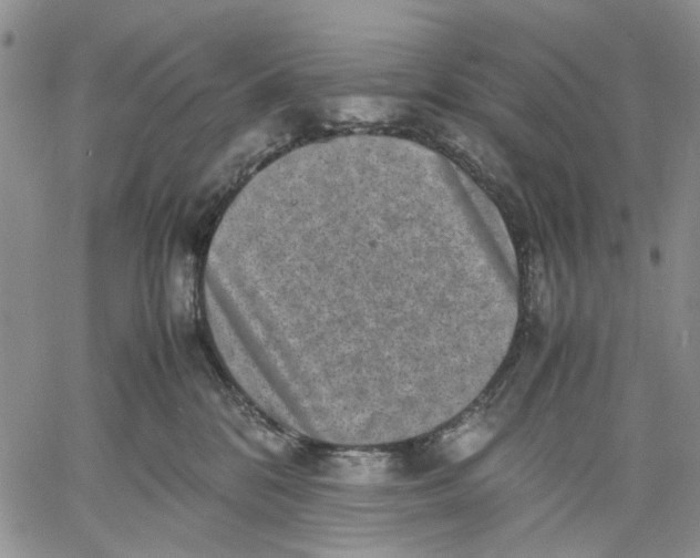 X0000060550328200511241232