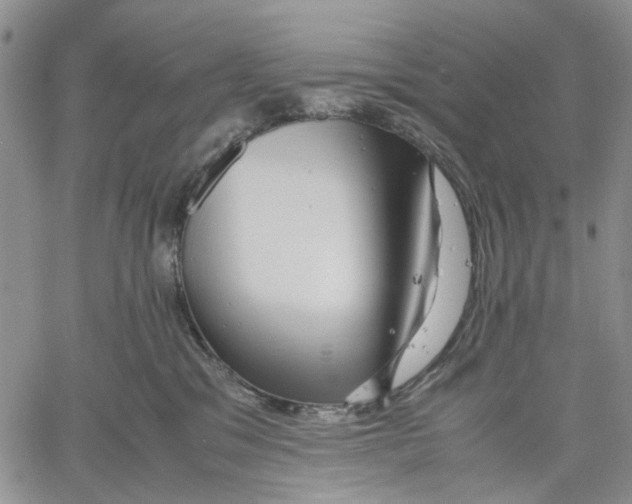 X0000060550329200511241231