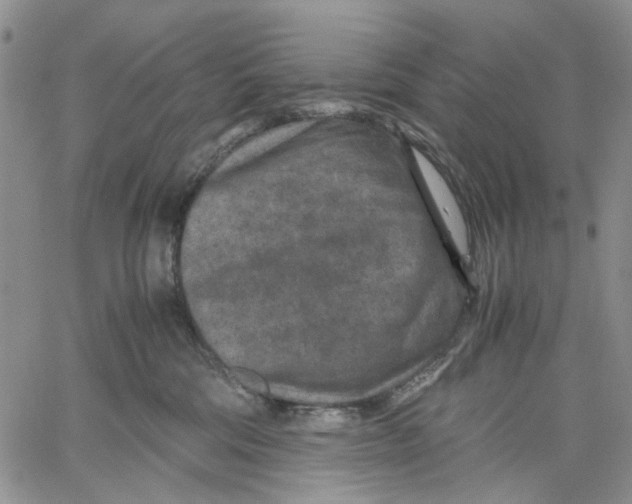 X0000060550330200511241231