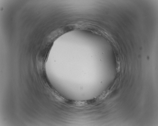 X0000060550333200511241231