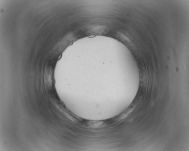 X0000060550334200511241231