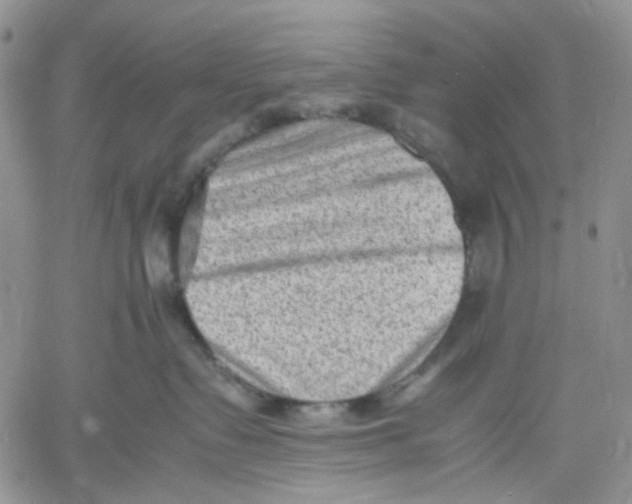 X0000060550335200511241231