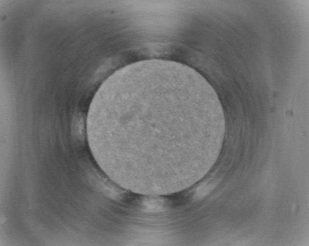 X0000060550336200511241231