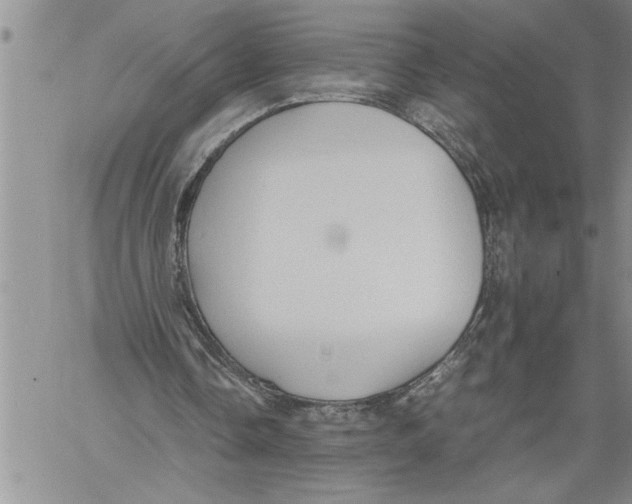 X0000060550338200511241231