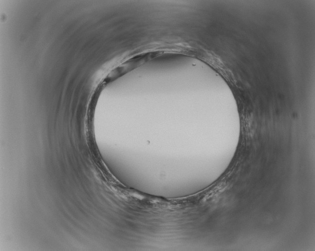 X0000060550340200511241231