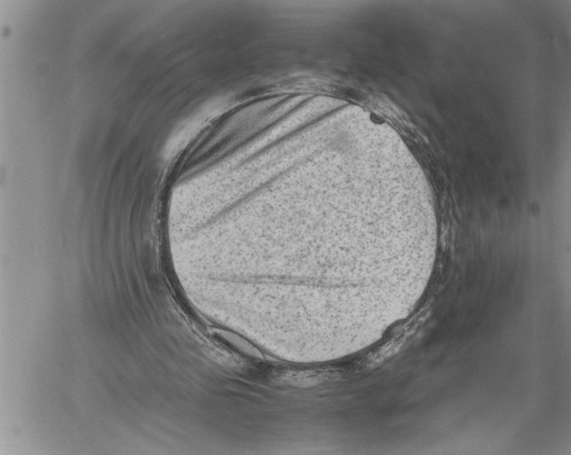 X0000060550341200511241231