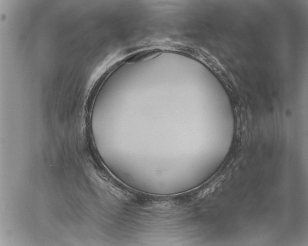 X0000060550344200511241231