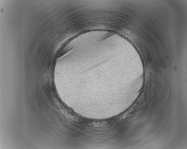 X0000060550345200511241231