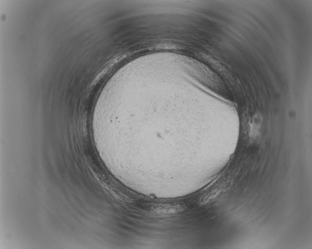 X0000060550347200511241231