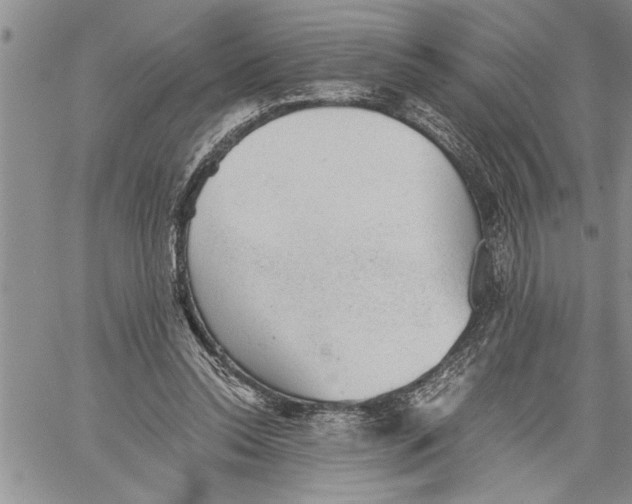 X0000060550350200511241231