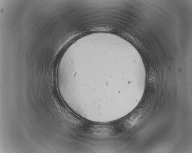 X0000060550351200511241231