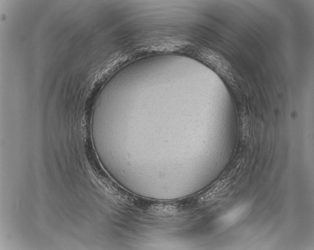 X0000060550354200511241231