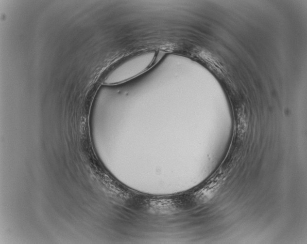 X0000060550355200511241231