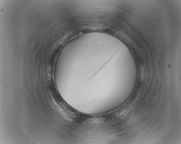 X0000060550356200511241231