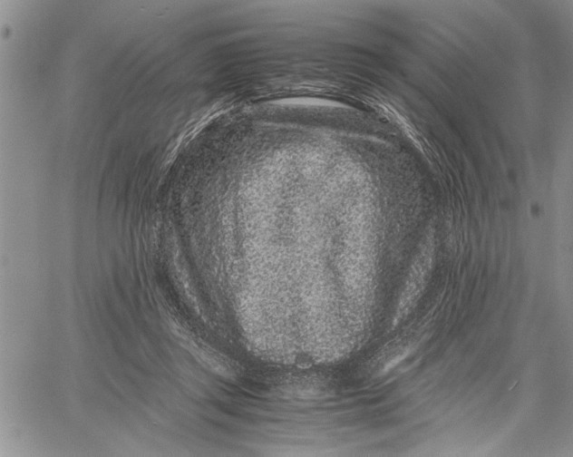 X0000060550357200511241231