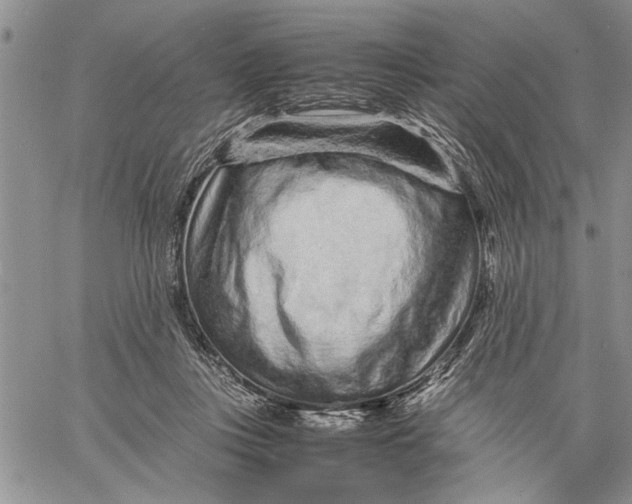 X0000060550359200511241231