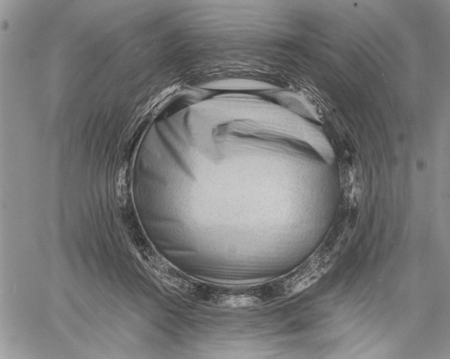 X0000060550360200511241231