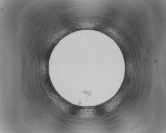 X0000060550362200511241231