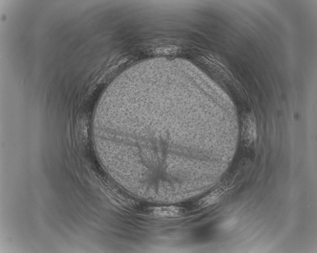 X0000060550363200511241231