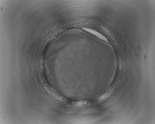 X0000060550366200511241231