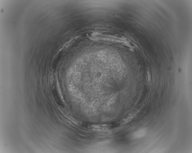 X0000060550367200511241231