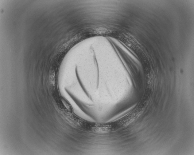 X0000060550368200511241231