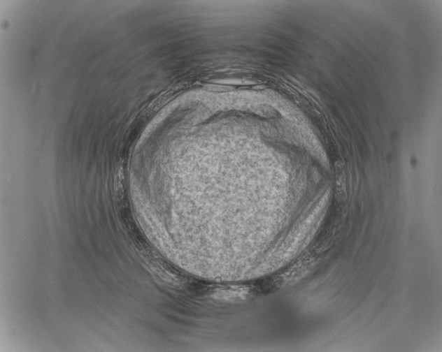 X0000060550369200511241231