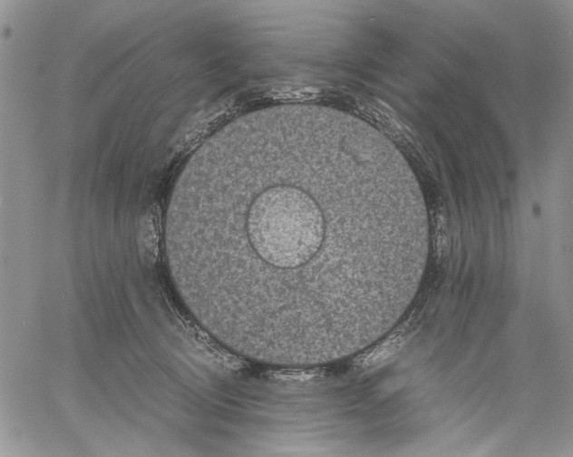 X0000060550370200511241231