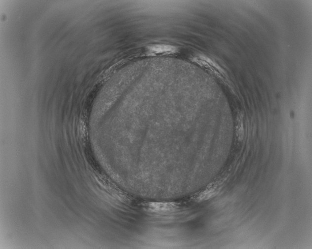 X0000060550371200511241231