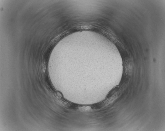 X0000060550374200511241231