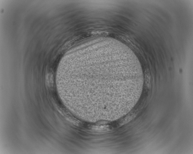 X0000060550375200511241231