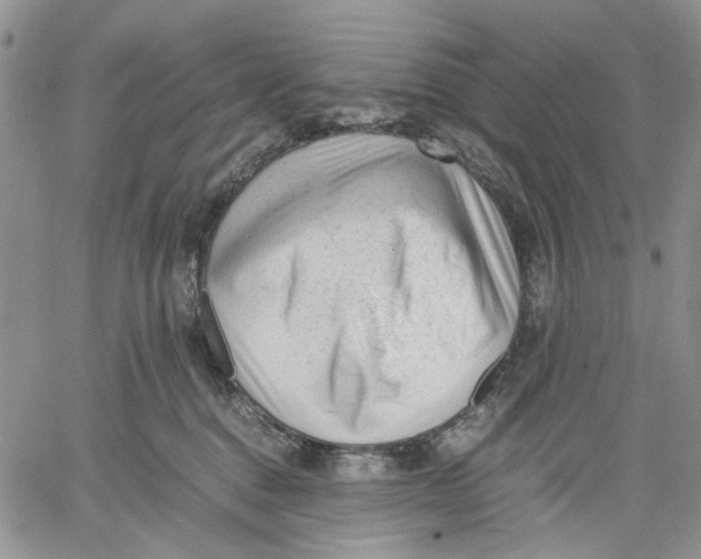 X0000060550376200511241231