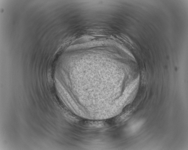 X0000060550377200511241231