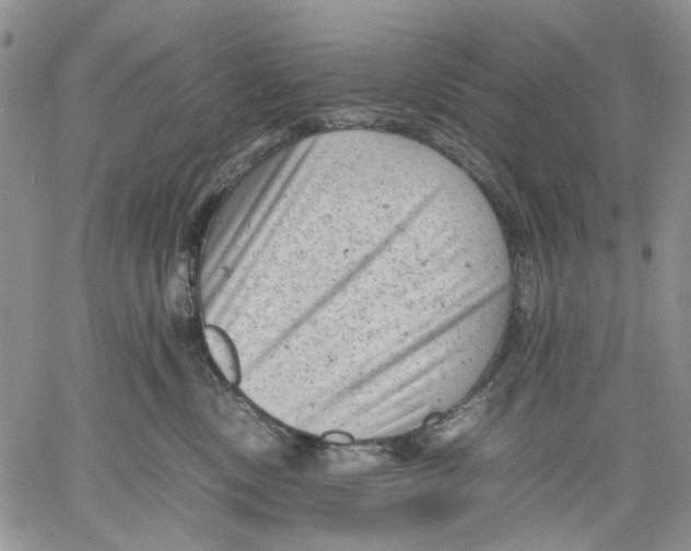 X0000060550378200511241231