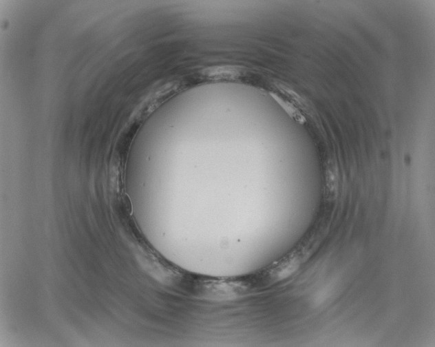 X0000060550379200511241231