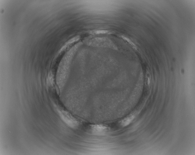 X0000060550380200511241231