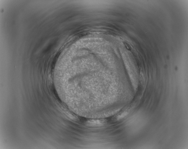 X0000060550381200511241231