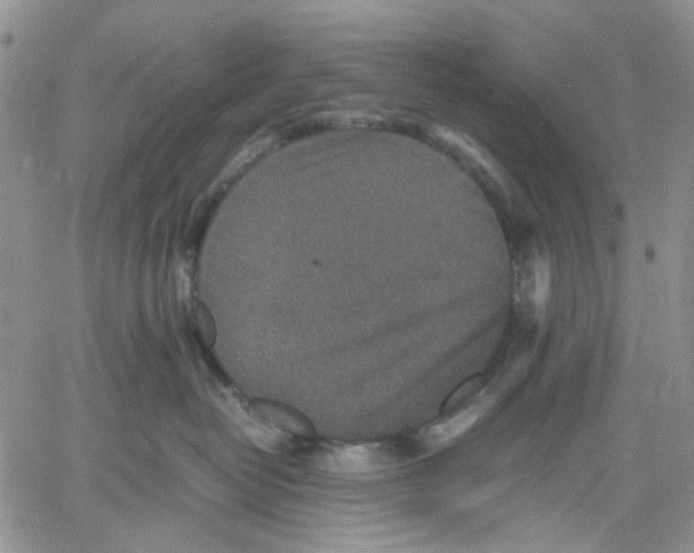 X0000060550382200511241231